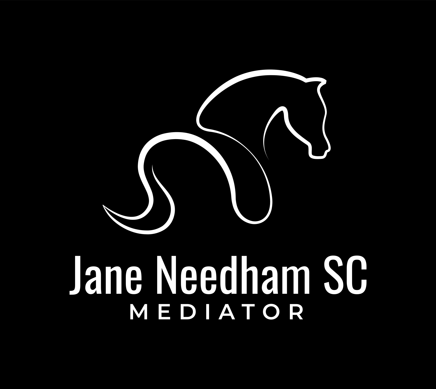 Jane Needham SC – dispute resolution